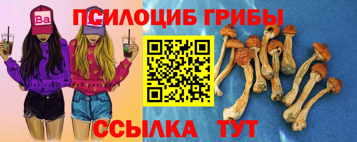 закладки  Галлюциногенные грибы Psilocybe  Псилоцибиновые грибы Cubensis  Вход с VPN  Губкинский 